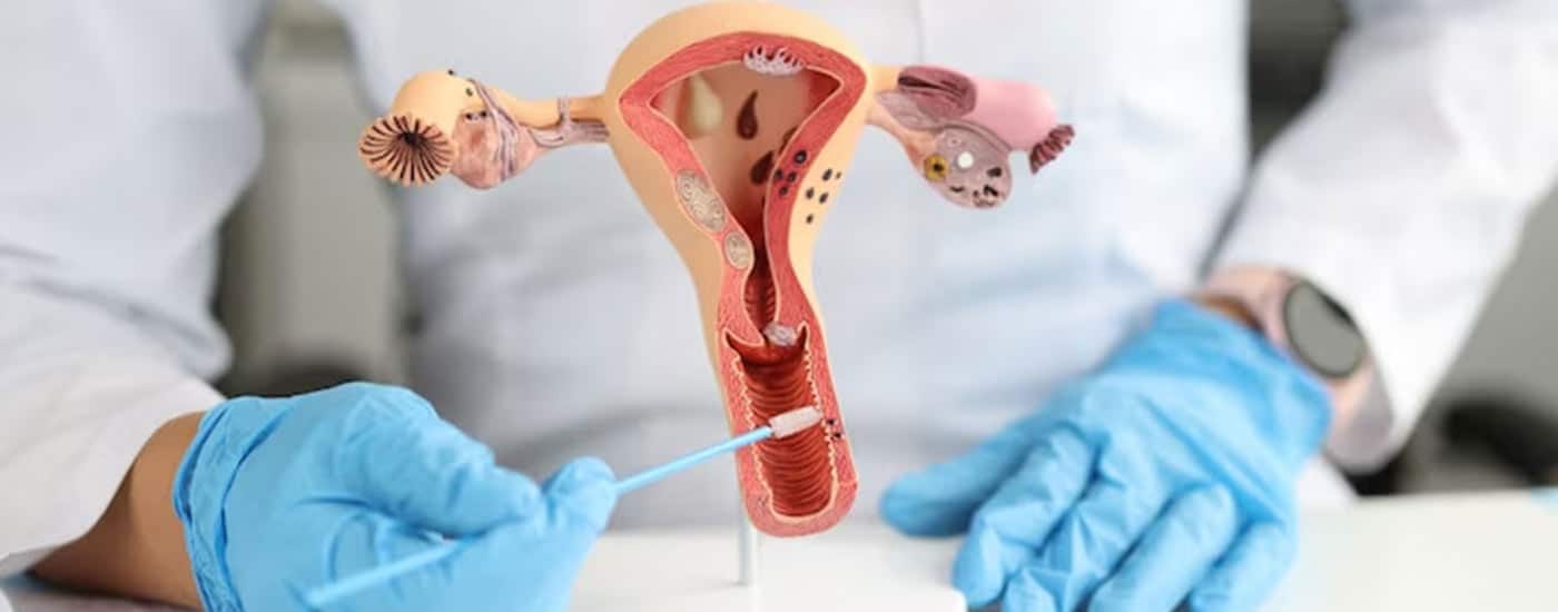 Le microbiote vaginal